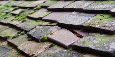 West Wratting roof repair costs